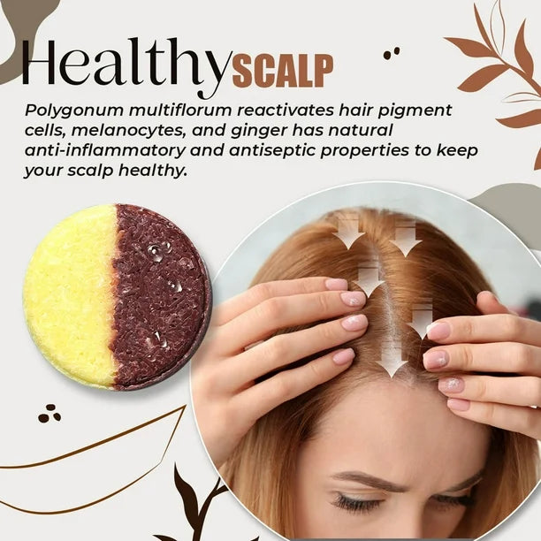 Polygonum Multiflorum And Ginger King Soap | Anti-Aging Properties | Hair and Scalp Health | Antioxidant Protection | Natural Cleansing