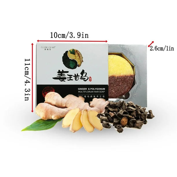 Polygonum Multiflorum And Ginger King Soap | Anti-Aging Properties | Hair and Scalp Health | Antioxidant Protection | Natural Cleansing